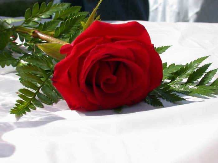 DSCN4068