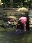 Washing (50kb)