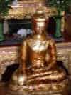 dscn0313.jpg (106957 bytes)