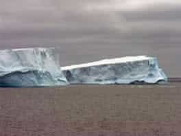 Big Bergs