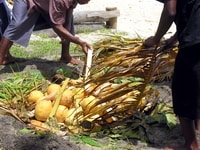 Breaqdfruit