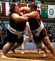 Sumo