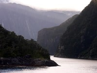 Fiordland