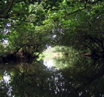 River