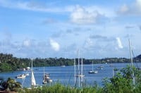 Yachties
